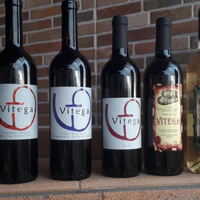El vino de tea palmero Vitega, medalla de oro en el certamen internacional CINVE 2025