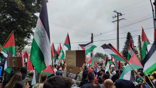 Nuevo lío en La Vuelta: protestas propalestina y un árbol detienen la carrera antes de meta