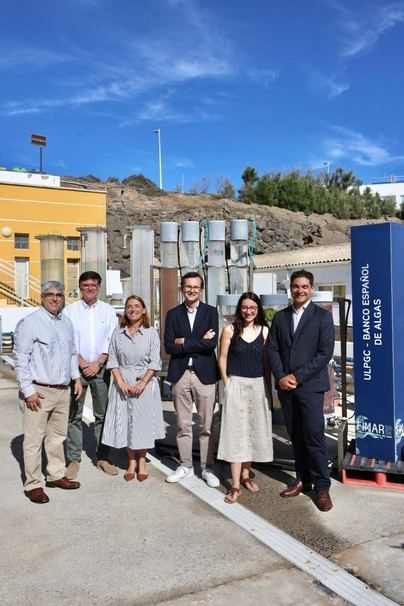 Lanzan en Canarias el primer caldo vegetal a base de algas