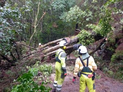 Cierre de las áreas recreativas de Madre del Agua y Las Lajas
