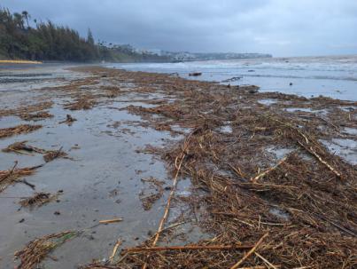 El aliviadero de la Presa de Ayagaures aumentará el cauce del barranco