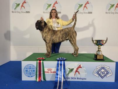 Canarias brilla en la World Dog Show 2026